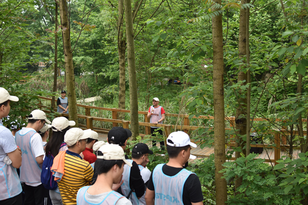 1557807047387777.jpg 02.JPG