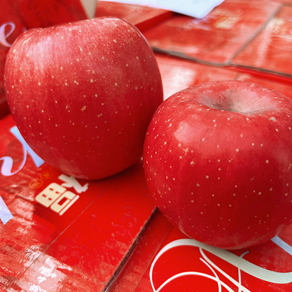 1737618914690809.jpg 小04.jpg